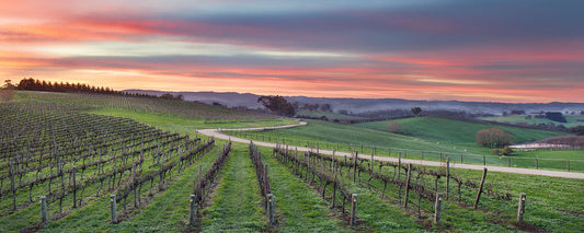 Coonawarra's famed terra rossa, the terrior for Coonawarra Cabernet